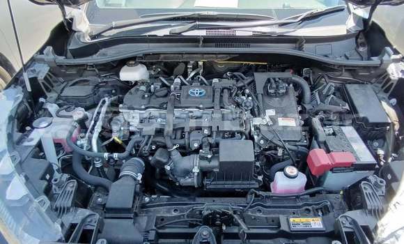 কেনা ব্যবহৃত Toyota corolla cross Black গাড়ী মধ্যে ঢাকা মধ্যে Dhaka কেনা ব্যবহৃত Toyota corolla cross Black গাড়ী মধ্যে ঢাকা মধ্যে Dhaka