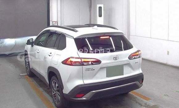 Buy Used 2025 Toyota corolla in Dhaka, Dhaka Buy Used 2025 Toyota corolla in Dhaka, Dhaka