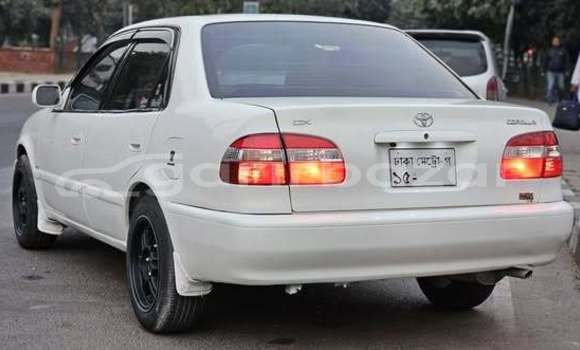 Buy Used 1997 Toyota Corolla 111 in Dhaka, Dhaka Buy Used 1997 Toyota Corolla 111 in Dhaka, Dhaka