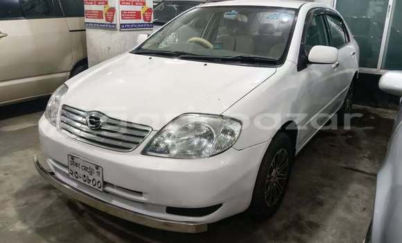 Buy Used 2004 Toyota X corolla in Dhaka, Dhaka