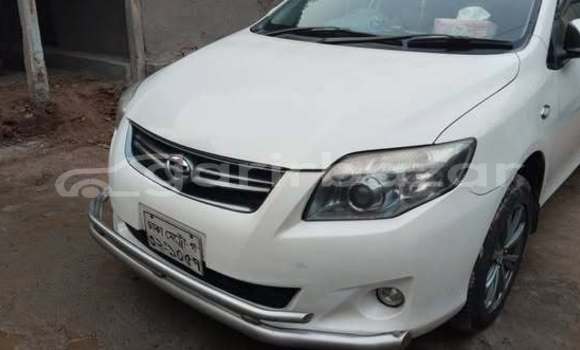 Buy Used 2023 Toyota Axio fielder in Dhaka, Dhaka
