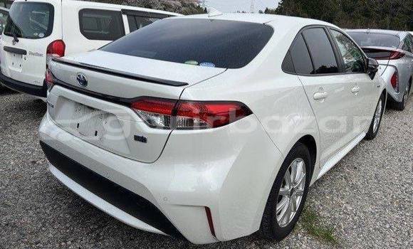 Buy Used 2020 Toyota corolla in Dhaka, Dhaka Buy Used 2020 Toyota corolla in Dhaka, Dhaka