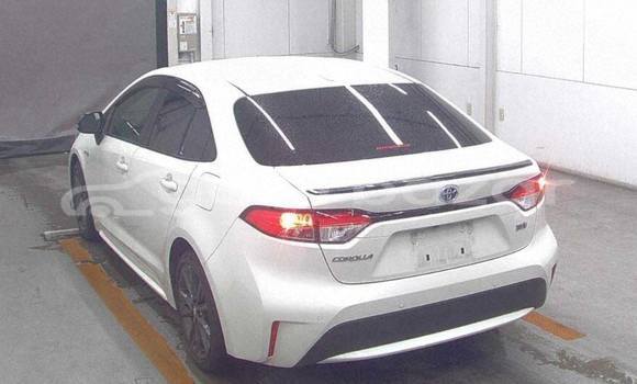 Buy Used 2020 Toyota Corolla in Dhaka, Dhaka Buy Used 2020 Toyota Corolla in Dhaka, Dhaka