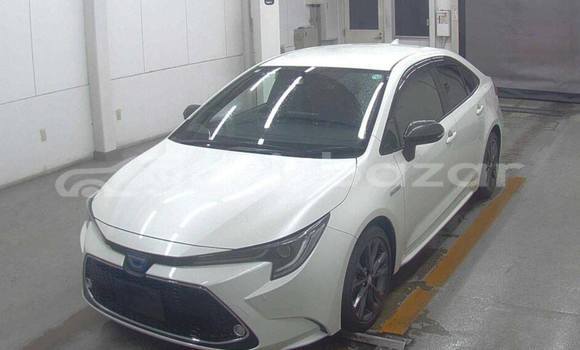 Buy Used 2020 Toyota Corolla in Dhaka, Dhaka Buy Used 2020 Toyota Corolla in Dhaka, Dhaka