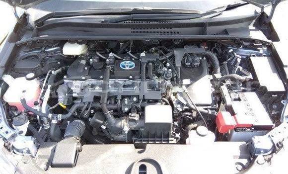 Buy Used 2019 Toyota corolla in Dhaka, Dhaka Buy Used 2019 Toyota corolla in Dhaka, Dhaka