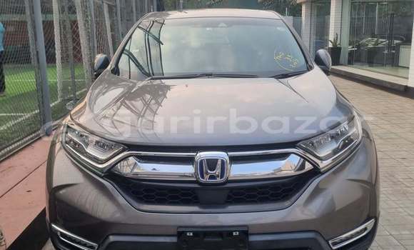 Buy Used 2024 Honda CR-V in Dhaka, Dhaka