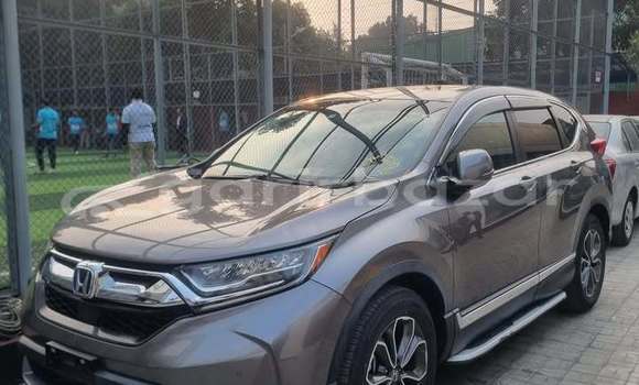 কেনা ব্যবহৃত Honda CR-V Other গাড়ী মধ্যে ঢাকা মধ্যে Dhaka কেনা ব্যবহৃত Honda CR-V Other গাড়ী মধ্যে ঢাকা মধ্যে Dhaka