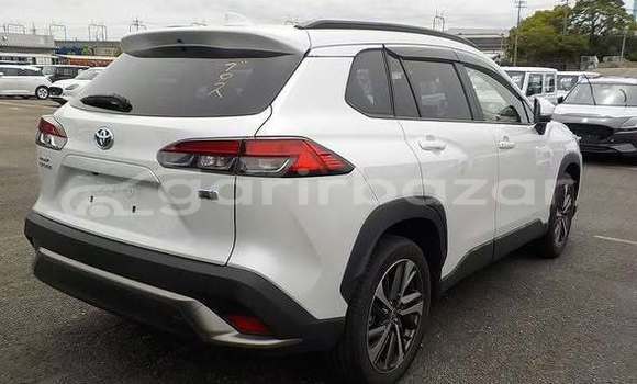 Buy Used 2021 Toyota corolla in Dhaka, Dhaka Buy Used 2021 Toyota corolla in Dhaka, Dhaka