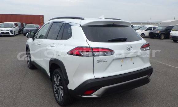 Buy Used 2025 Toyota corolla in Dhaka, Dhaka Buy Used 2025 Toyota corolla in Dhaka, Dhaka