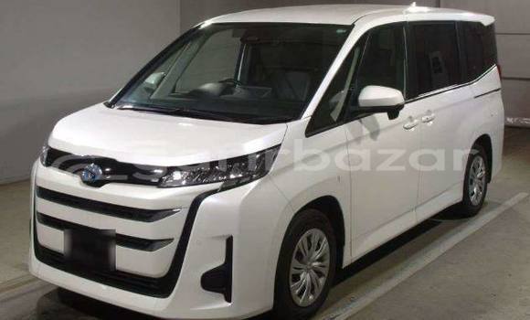 Buy Used 2022 Toyota Noah in Dhaka, Dhaka Buy Used 2022 Toyota Noah in Dhaka, Dhaka