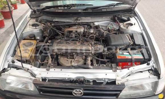 কেনা ব্যবহৃত Toyota Wagon Other গাড়ী মধ্যে ঢাকা মধ্যে Dhaka কেনা ব্যবহৃত Toyota Wagon Other গাড়ী মধ্যে ঢাকা মধ্যে Dhaka