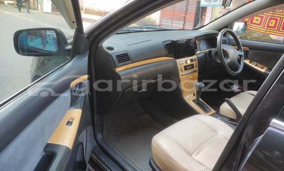 Buy Used 2005 Toyota corolla x fielder in Dhaka, Dhaka Buy Used 2005 Toyota corolla x fielder in Dhaka, Dhaka