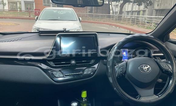 কেনা ব্যবহৃত Toyota C-hr g-led package 2017 Grey গাড়ী মধ্যে ঢাকা মধ্যে Dhaka কেনা ব্যবহৃত Toyota C-hr g-led package 2017 Grey গাড়ী মধ্যে ঢাকা মধ্যে Dhaka