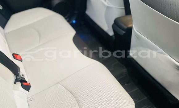 কেনা আমদানি Toyota Prius a premium 2019 Black গাড়ী মধ্যে ঢাকা মধ্যে Dhaka কেনা আমদানি Toyota Prius a premium 2019 Black গাড়ী মধ্যে ঢাকা মধ্যে Dhaka