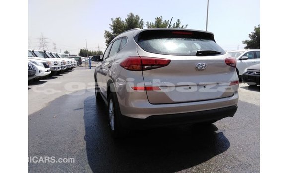 Buy Import 2019 Mercedes-Benz Sportage in Import - Dubai, Bandarban Buy Import 2019 Mercedes-Benz Sportage in Import - Dubai, Bandarban