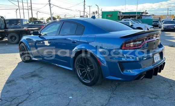 কিনুন ব্যবহৃত Dodge গাড়ী কিনুন ব্যবহৃত Dodge গাড়ী