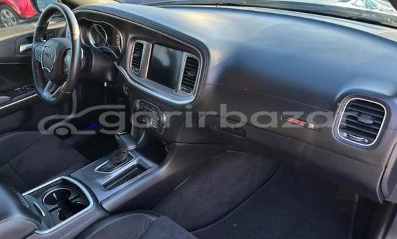 কিনুন ব্যবহৃত Dodge গাড়ী কিনুন ব্যবহৃত Dodge গাড়ী
