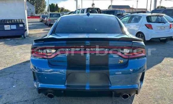 কিনুন ব্যবহৃত Dodge গাড়ী কিনুন ব্যবহৃত Dodge গাড়ী
