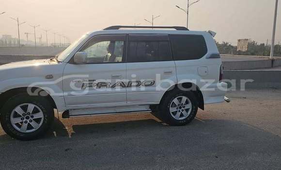 কেনা ব্যবহৃত Toyota prado tx ltd White গাড়ী মধ্যে ঢাকা মধ্যে Dhaka কেনা ব্যবহৃত Toyota prado tx ltd White গাড়ী মধ্যে ঢাকা মধ্যে Dhaka