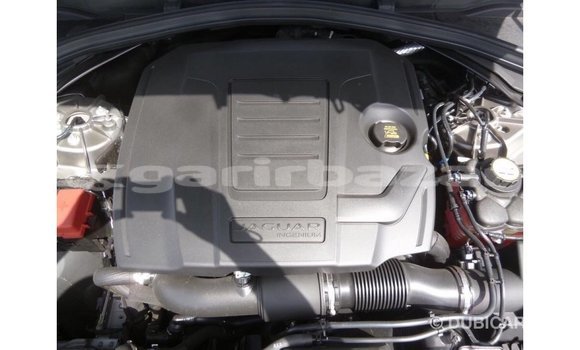 Buy Import 2018 Jaguar F-Pace in Import - Dubai, Bandarban Buy Import 2018 Jaguar F-Pace in Import - Dubai, Bandarban