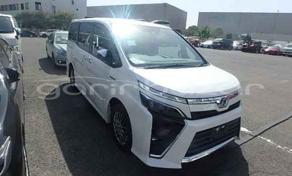 কেনা ব্যবহৃত Toyota Voxy White গাড়ী মধ্যে ঢাকা মধ্যে Dhaka কেনা ব্যবহৃত Toyota Voxy White গাড়ী মধ্যে ঢাকা মধ্যে Dhaka