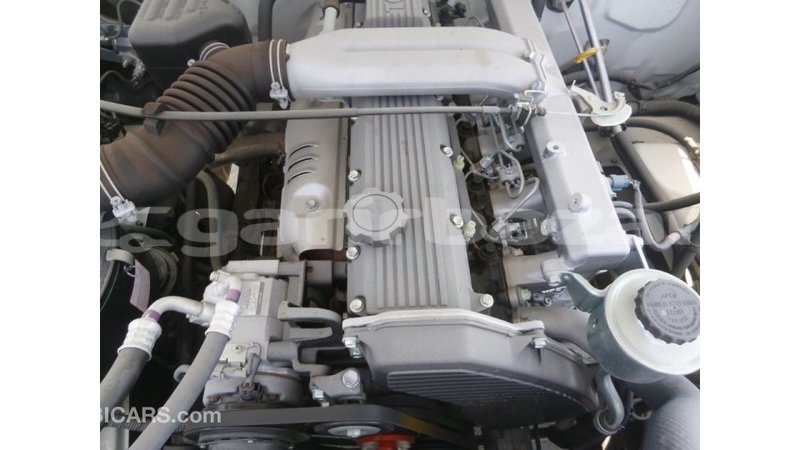 Big with watermark 4f345180 d4d9 47a2 bc04 f9604f44bb86