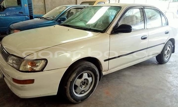 কেনা ব্যবহৃত Toyota Corolla White গাড়ী মধ্যে ঢাকা মধ্যে Dhaka কেনা ব্যবহৃত Toyota Corolla White গাড়ী মধ্যে ঢাকা মধ্যে Dhaka
