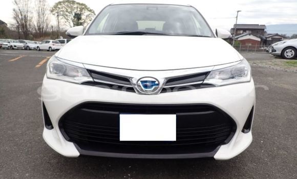 কেনা ব্যবহৃত Toyota Fielder White গাড়ী মধ্যে ঢাকা মধ্যে Dhaka কেনা ব্যবহৃত Toyota Fielder White গাড়ী মধ্যে ঢাকা মধ্যে Dhaka