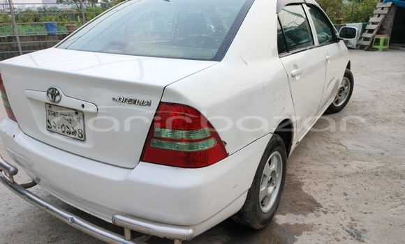 Buy Used 2001 Toyota Corolla x in Dhaka, Dhaka Buy Used 2001 Toyota Corolla x in Dhaka, Dhaka