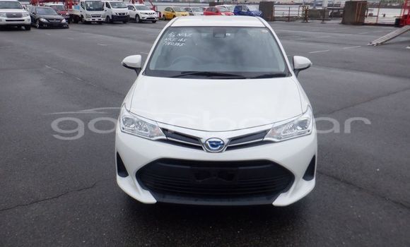 কেনা ব্যবহৃত Toyota Axio White গাড়ী মধ্যে ঢাকা মধ্যে Dhaka কেনা ব্যবহৃত Toyota Axio White গাড়ী মধ্যে ঢাকা মধ্যে Dhaka