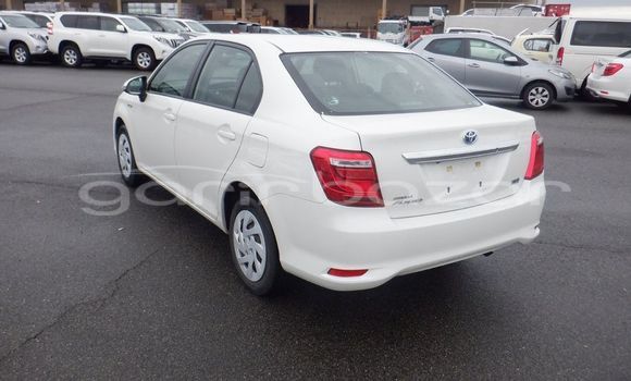 কেনা ব্যবহৃত Toyota Axio White গাড়ী মধ্যে ঢাকা মধ্যে Dhaka কেনা ব্যবহৃত Toyota Axio White গাড়ী মধ্যে ঢাকা মধ্যে Dhaka