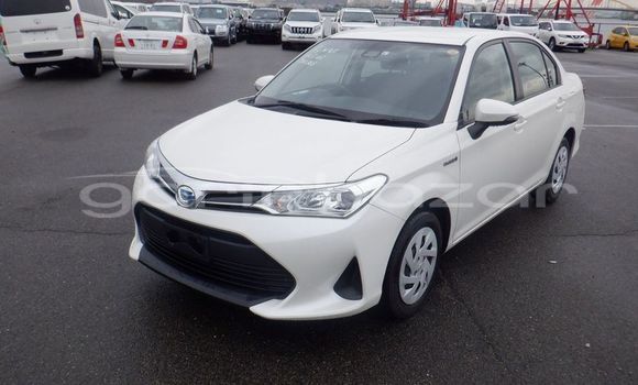 কেনা ব্যবহৃত Toyota Axio White গাড়ী মধ্যে ঢাকা মধ্যে Dhaka কেনা ব্যবহৃত Toyota Axio White গাড়ী মধ্যে ঢাকা মধ্যে Dhaka