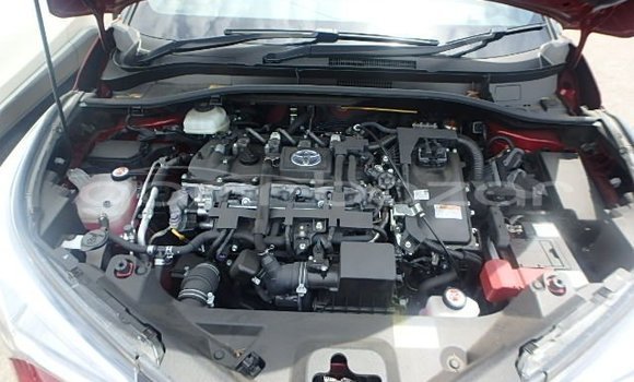 কেনা ব্যবহৃত Toyota CHR Red গাড়ী মধ্যে ঢাকা মধ্যে Dhaka কেনা ব্যবহৃত Toyota CHR Red গাড়ী মধ্যে ঢাকা মধ্যে Dhaka