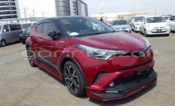 কেনা ব্যবহৃত Toyota CHR Red গাড়ী মধ্যে ঢাকা মধ্যে Dhaka কেনা ব্যবহৃত Toyota CHR Red গাড়ী মধ্যে ঢাকা মধ্যে Dhaka