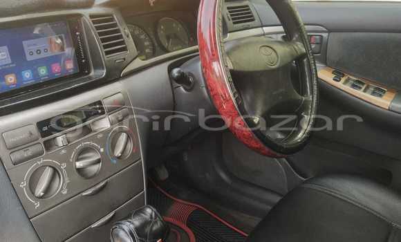 কেনা ব্যবহৃত Toyota X corolla Silver গাড়ী মধ্যে ঢাকা মধ্যে Dhaka কেনা ব্যবহৃত Toyota X corolla Silver গাড়ী মধ্যে ঢাকা মধ্যে Dhaka