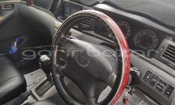 কেনা ব্যবহৃত Toyota X corolla Silver গাড়ী মধ্যে ঢাকা মধ্যে Dhaka কেনা ব্যবহৃত Toyota X corolla Silver গাড়ী মধ্যে ঢাকা মধ্যে Dhaka