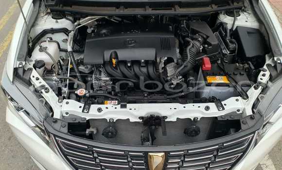 কেনা আমদানি Toyota Premio Pearl গাড়ী মধ্যে ঢাকা মধ্যে Dhaka কেনা আমদানি Toyota Premio Pearl গাড়ী মধ্যে ঢাকা মধ্যে Dhaka