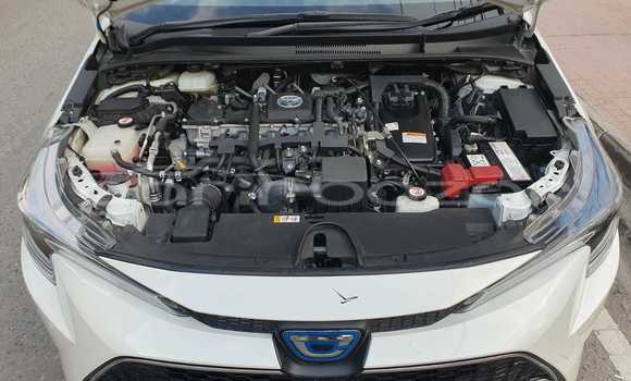 Buy Import 2020 Toyota Corolla Cross in Dhaka, Dhaka Buy Import 2020 Toyota Corolla Cross in Dhaka, Dhaka