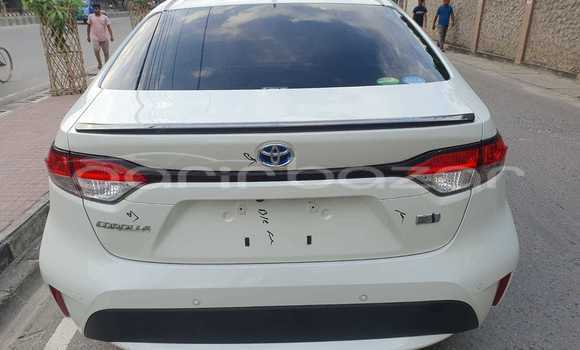 Buy Import 2020 Toyota Corolla Cross in Dhaka, Dhaka Buy Import 2020 Toyota Corolla Cross in Dhaka, Dhaka