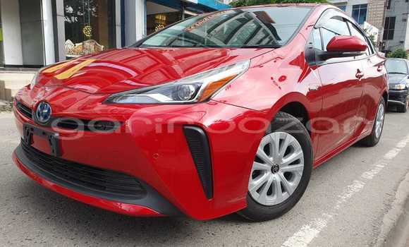 Buy Import 2019 Toyota Prius 1.8 Hybrid Plus in Dhaka, Dhaka Buy Import 2019 Toyota Prius 1.8 Hybrid Plus in Dhaka, Dhaka
