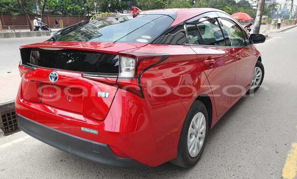 Buy Import 2019 Toyota Prius 1.8 Hybrid Plus in Dhaka, Dhaka Buy Import 2019 Toyota Prius 1.8 Hybrid Plus in Dhaka, Dhaka