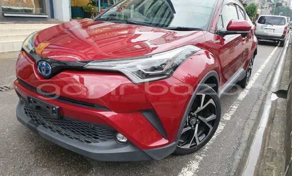 কেনা আমদানি Toyota CHR Red গাড়ী মধ্যে ঢাকা মধ্যে Dhaka কেনা আমদানি Toyota CHR Red গাড়ী মধ্যে ঢাকা মধ্যে Dhaka