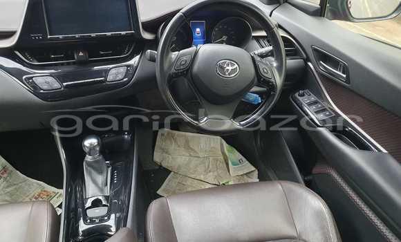 কেনা আমদানি Toyota CHR Red গাড়ী মধ্যে ঢাকা মধ্যে Dhaka কেনা আমদানি Toyota CHR Red গাড়ী মধ্যে ঢাকা মধ্যে Dhaka