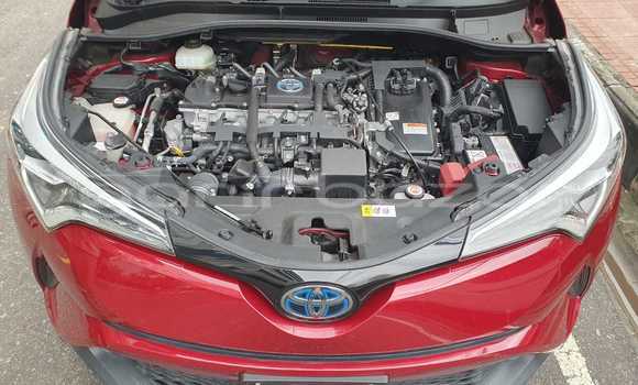 কেনা আমদানি Toyota CHR Red গাড়ী মধ্যে ঢাকা মধ্যে Dhaka কেনা আমদানি Toyota CHR Red গাড়ী মধ্যে ঢাকা মধ্যে Dhaka