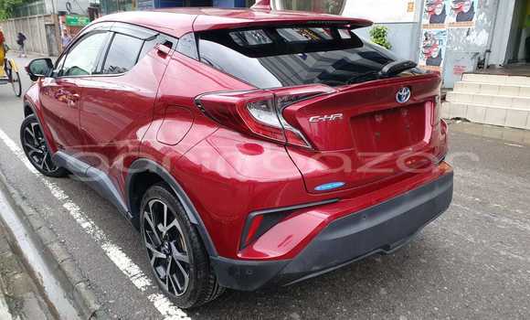কেনা আমদানি Toyota CHR Red গাড়ী মধ্যে ঢাকা মধ্যে Dhaka কেনা আমদানি Toyota CHR Red গাড়ী মধ্যে ঢাকা মধ্যে Dhaka