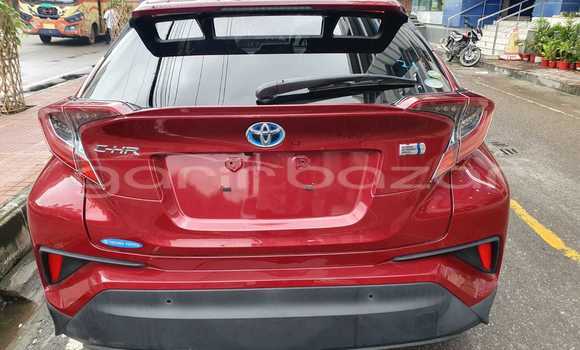 কেনা আমদানি Toyota CHR Red গাড়ী মধ্যে ঢাকা মধ্যে Dhaka কেনা আমদানি Toyota CHR Red গাড়ী মধ্যে ঢাকা মধ্যে Dhaka