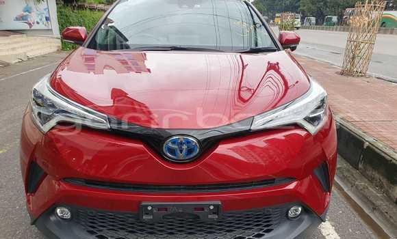 কেনা আমদানি Toyota CHR Red গাড়ী মধ্যে ঢাকা মধ্যে Dhaka কেনা আমদানি Toyota CHR Red গাড়ী মধ্যে ঢাকা মধ্যে Dhaka