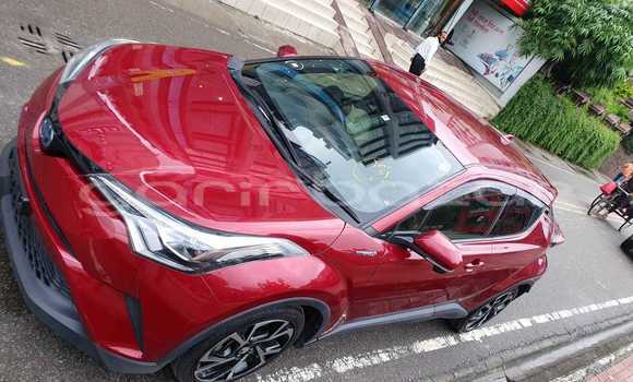 কেনা আমদানি Toyota CHR Red গাড়ী মধ্যে ঢাকা মধ্যে Dhaka কেনা আমদানি Toyota CHR Red গাড়ী মধ্যে ঢাকা মধ্যে Dhaka