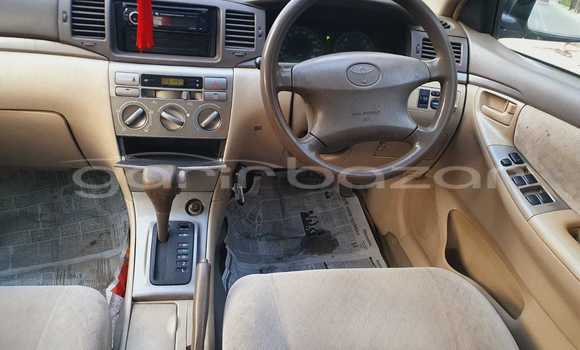 কেনা ব্যবহৃত Toyota X corolla White গাড়ী মধ্যে ঢাকা মধ্যে Dhaka কেনা ব্যবহৃত Toyota X corolla White গাড়ী মধ্যে ঢাকা মধ্যে Dhaka