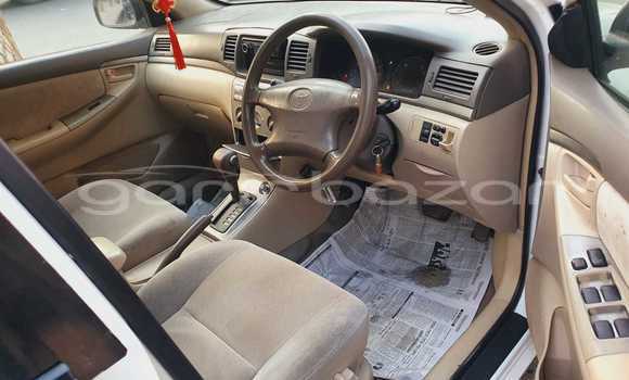 কেনা ব্যবহৃত Toyota X corolla White গাড়ী মধ্যে ঢাকা মধ্যে Dhaka কেনা ব্যবহৃত Toyota X corolla White গাড়ী মধ্যে ঢাকা মধ্যে Dhaka